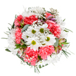 This spring-inspired bouquet, artfully designed by Hillingdon florists, shines with the joyous hues of blossoming West London. Milky white daisies, each crowned with a green-apple center, are nestled amid opulent coral-pink carnations whose plush ruffles evoke cheerful, sunny mornings. Feathery clouds of baby's breath drift through the arrangement, adding a soft, romantic air, while understated buds of alstroemeria streaked with blush and purple peek playfully from within. Silvery eucalyptus and rich dark foliage frame the bouquet, lending both structure and subtle fragrance, reminiscent of an early stroll along the Grand Union Canal. Every stem and petal is expertly chosen and placed, creating a harmonious, full-bodied display that radiates warmth, gratitude, and the easy pleasure of a freshly gathered bouquet. Perfect for gifting across Northolt, West Drayton, or Hillingdon Village, this arrangement is an elegant celebration of both local nature and heartfelt emotion.